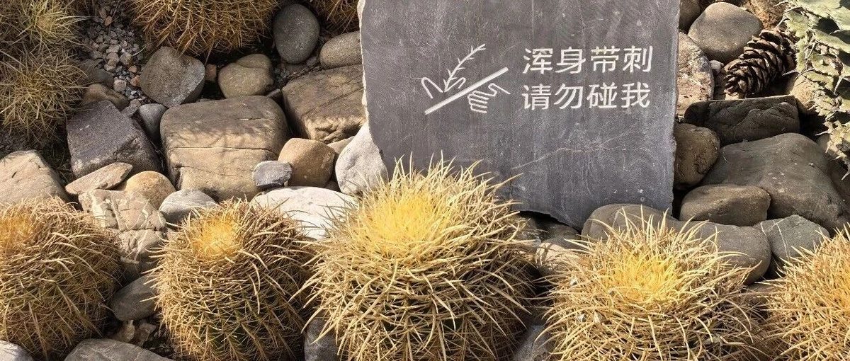 腰疼、尿血？你可能正在经历肾结石